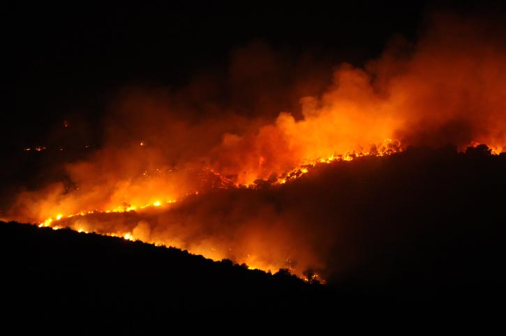 At least 40 Israelis have been killed in a forest fire in northern Israel described as out of control, Dec. 2, 2010.