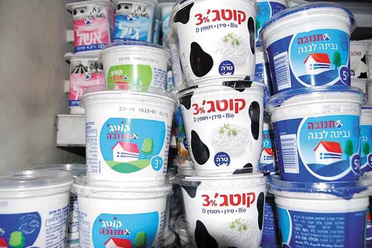 Rows of cottage cheese and other dairy products on display at a
Tel Aviv grocery store. Photo: Dina Kraft
