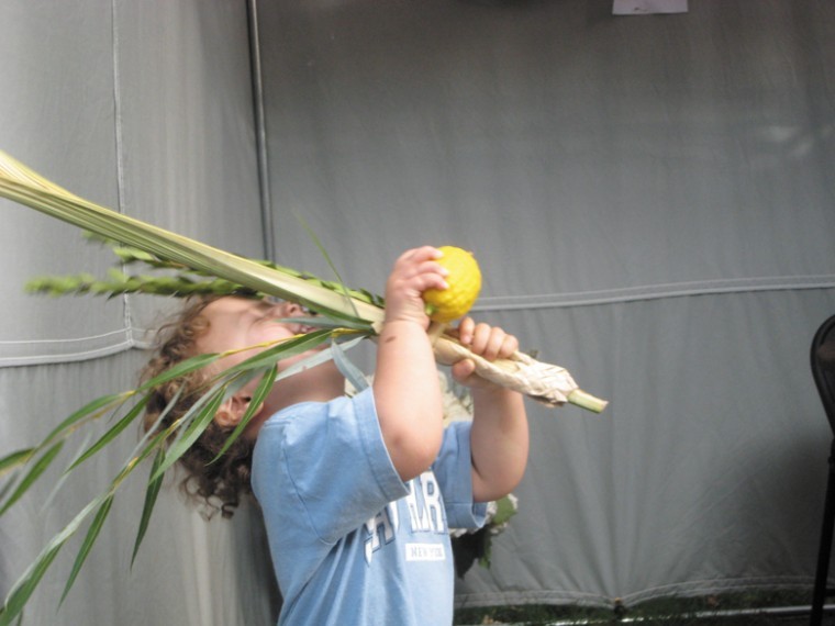 Waving the lulav and etrog, symbols of the fall harvest, is one
way to Sukkot pleasure - especially for the kids.Photo: Dasee Berkowitz
