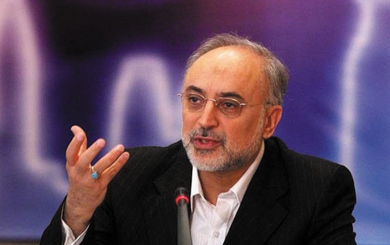 Iranian Foreign Minister Ali Akbar Salehi, seen here addressing
a regional economic summit in Tehran in May 2011, says he is
‘optimistic that nuclear inspectors will not find anything amiss
this week during their visit to the country.
