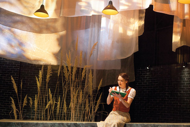 Shanara Gabrielle in the New Jewish Theatre production of ‘Hannah Senesh.’  Photo: John Lamb