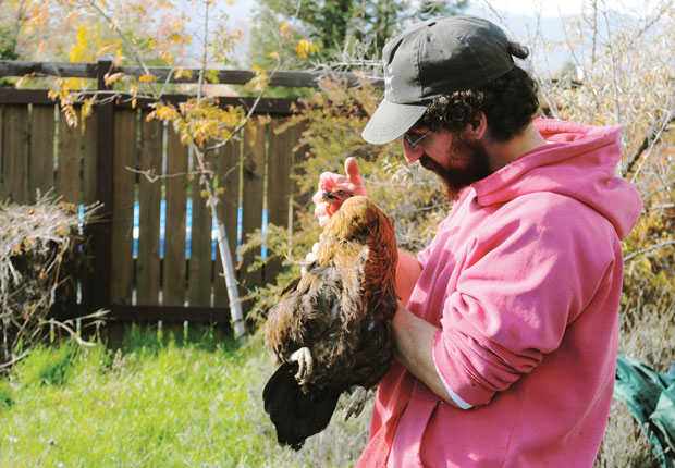 Josh Shupack comforting a chicken before slaughtering the bird in his Oregon backyard, Nov. 6, 2013. Photo: Rebecca Spence/JTA 