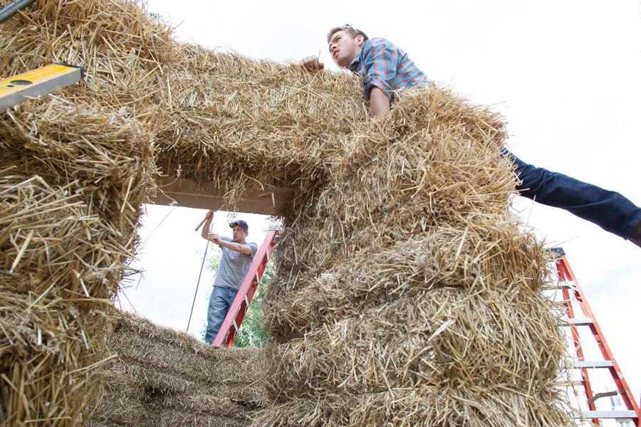 Kansas State architecture students Brian Delaney (plaid shirt) and Eric Dernbach work on constructing fellow student (not pictured) Devin Browns sukkah design on Oct. 6, 2014 at Washington University. Browns design, made of hay bales, was one of 10 finalists in Sukkah City STL, held by St. Louis Hillel and Wash U. The teams constructed their sukkot on the quadrangle just west of the universitys Olin Library.