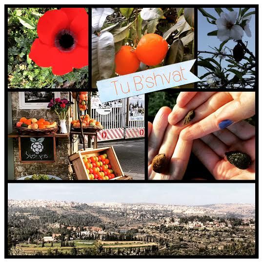 Tu B'shvat is the birthday of the trees, celebrated in Israel