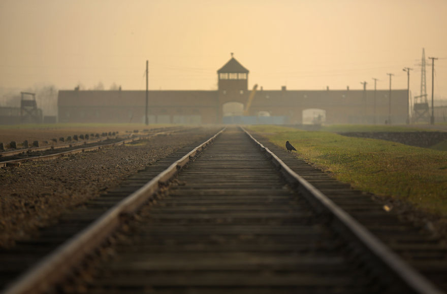 Auschwitz+museum+prohibits+Pok%C3%A9mon+Go+play+on+its+grounds