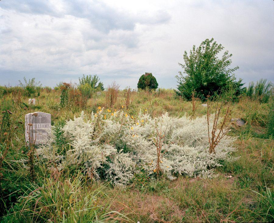 Jennifer Colton's image is part of the exhibition “Higher Ground: Honoring Washington Park Cemetery, Its People and Place,” at The Sheldon through Aug. 26.