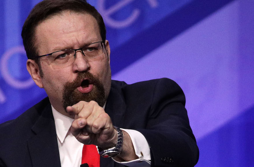 Gorka: “liberal elements” of the American Jewish community have “basically become anti-Israeli”