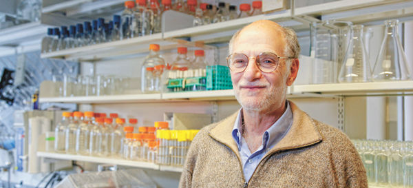 Michael Rosbash, a Kansas City native,  won a 2017 Nobel Prize for medicine/physiology.Photo: Brandeis University