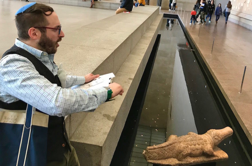 Nachliel Selavan giving a tour at the Metropolitan Museum of Art in New York, where a Roman-era crocodile sculpture is displayed in the moat near the Egyptian Temple of Dendur. (Debra Nussbaum Cohen)
