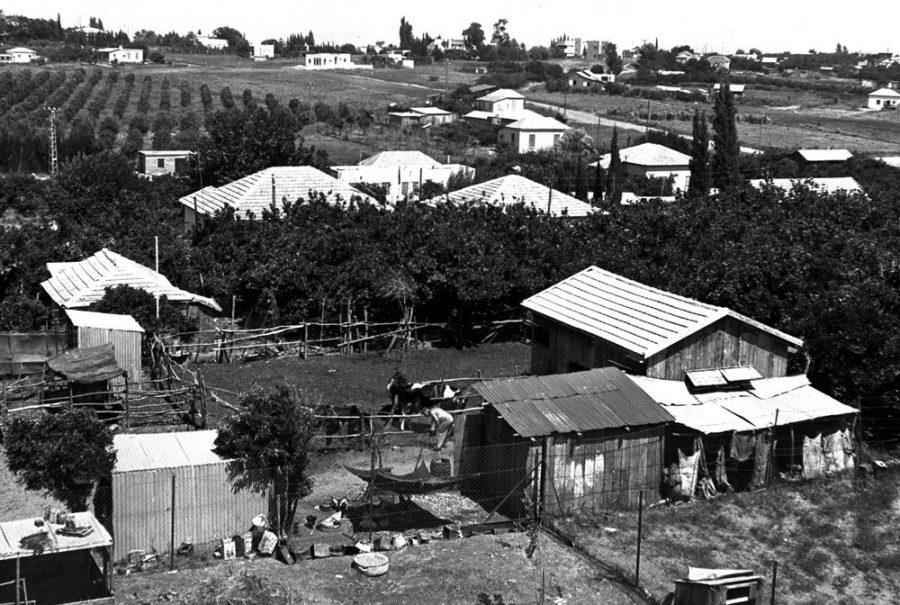 Petah Tikvah is shown in 1936, two years short of its 60th anniversary. Photo: by Zoltan Kluger, Government Press Office