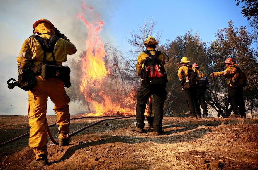 How a rabbi saved 4 Torah scrolls from being destroyed in the California wildfires