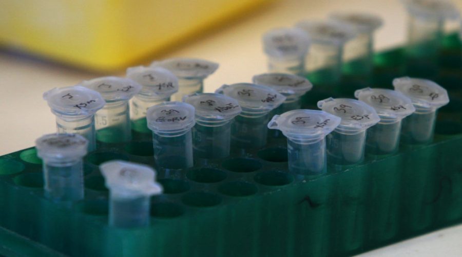 An Israeli company claims to have a cure for cancer, but fellow scientists say not so fast