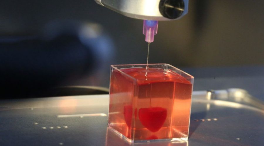 The+first+3D-printed+heart+with+live+cells+and+blood+vessels+on+display+at+a+laboratory+in+Tel+Aviv+University%2C+during+a+news+conference+on+April+15%2C+2019.+%28Flash90%29%C2%A0