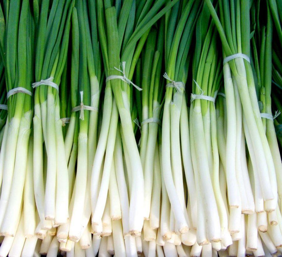 Green+onions