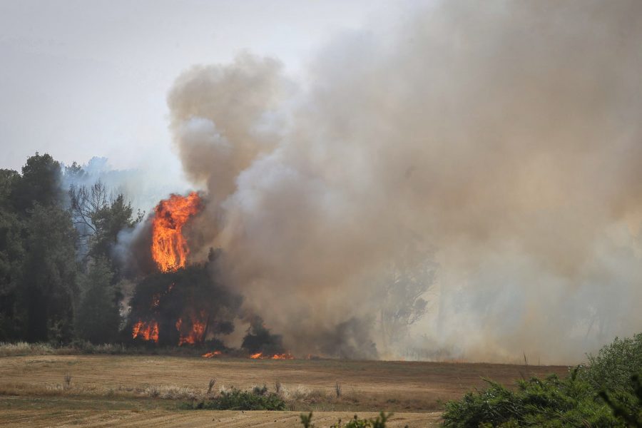 Fire devastates Israeli community founded by Shlomo Carlebach