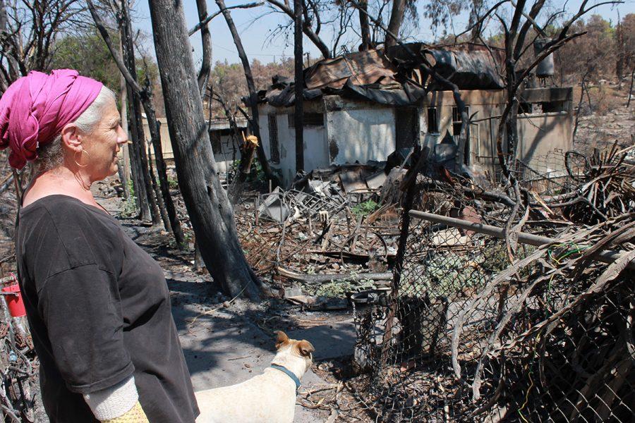 Tia Pinsky walks with her dog Sam through the ruins of Mevo Modi’im, also known as the Carlebach Moshav, much of which burned down in a fire on May 23. Photo: Eric Berger