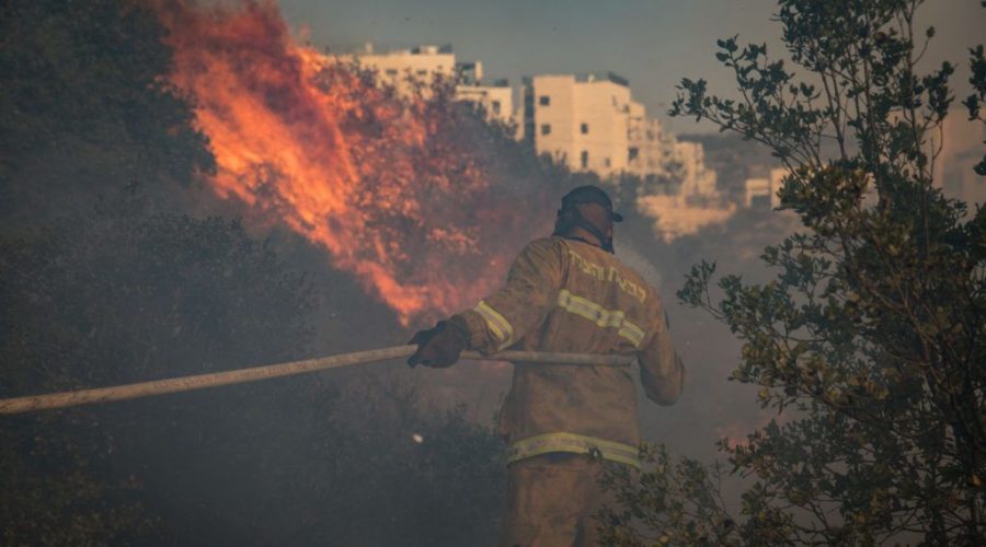Fire+fighters+extinguish+a+forest+fire+in+the+town+of+Tzur+Hadassah+outside+of+Jerusalem+on+Nov.+10%2C+2019.+%28Noam+Revkin+Fenton%2FFlash90%29