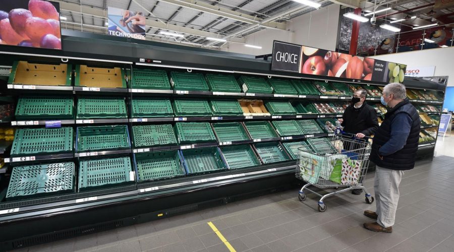 Shoppers faced with empty produce shelves in Belfast, Jan. 14, 2021. (Charles McQuillan/Getty Images)