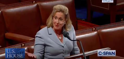 Rep. Ann Wagner, R- Ballwin, delivered a speech about Israel in 2019 at the U.S. House. Screenshot