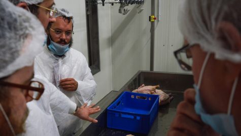 An EU ruling on kosher slaughter tells rabbis how to go about their business