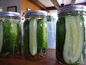Rebecca Siegels Dill pickles - from Flickr Creative Commons 