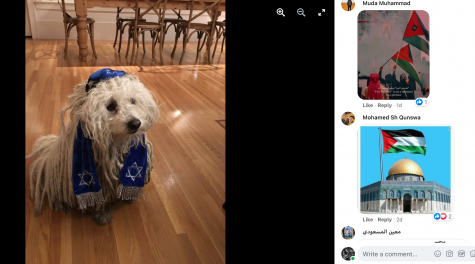 Mark Zuckerberg shared a photo of his dog wearing a yarmulke. It was hit with antisemitic comments.