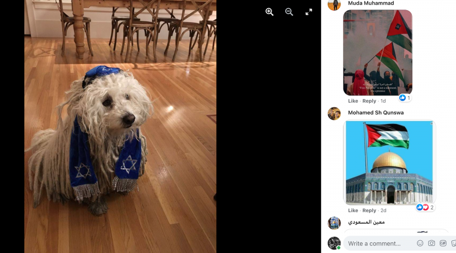 Mark+Zuckerberg+shared+a+photo+of+his+dog+wearing+a+yarmulke.+It+was+hit+with+antisemitic+comments.