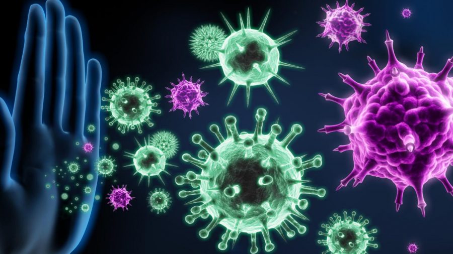 Immune system illustration by Peter Schreiber Media via Shutterstock.com