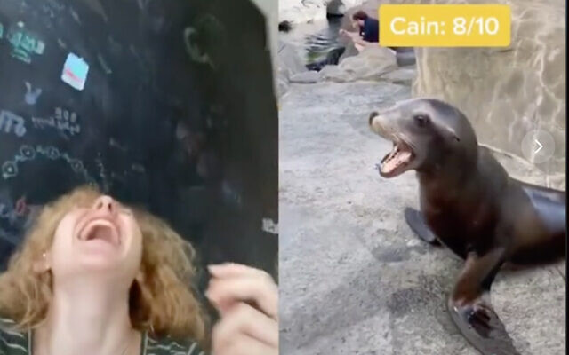 Remembering when Mallory Palmer went viral combining sea lions with the blasts of the shofar