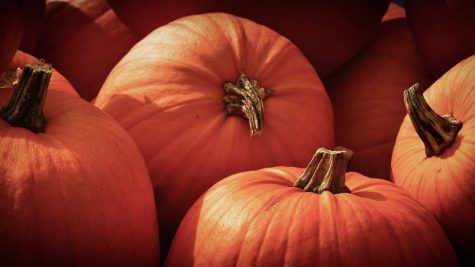 Fall in St. Louis means its time to embrace the Jewishness of the pumpkin