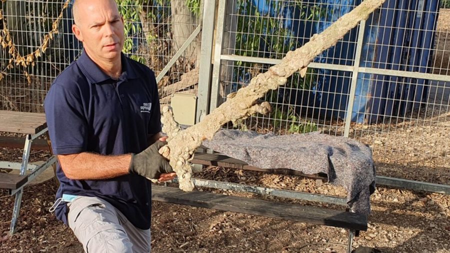Scuba diver finds 900-year-old Crusader sword off Israel coast