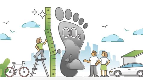 10 easy ways to reduce your carbon footprint in 2022