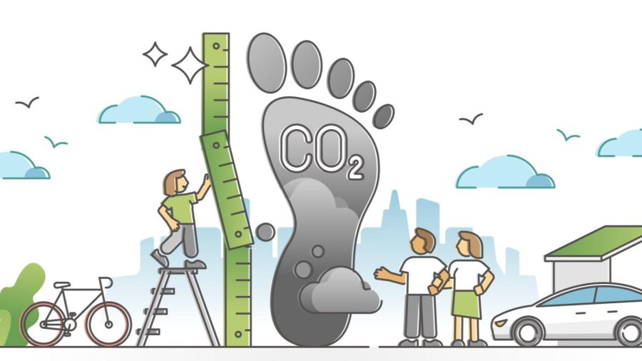 10 easy ways to reduce your carbon footprint in 2022