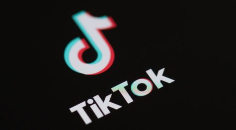 TikTok adds new features to direct users to reliable information about the Holocaust