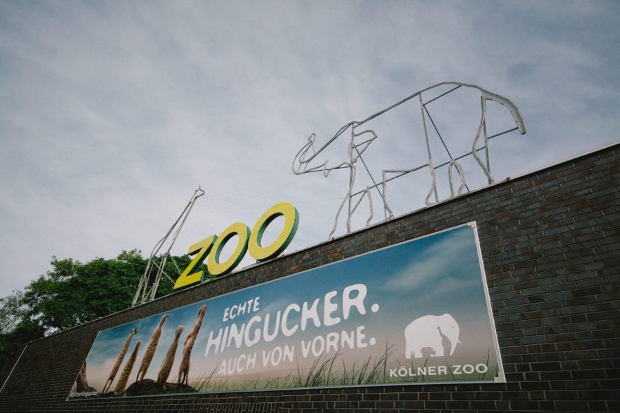 German+zoo+gets+%2426+million+from+widow+of+animal-loving+Holocaust+survivor
