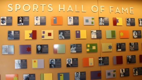 The St. Louis Jewish Sports Hall of Fame, located at the St. Louis JCC. (Courtesy)