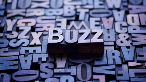 Amy Fenster Browns guide to understanding buzz words