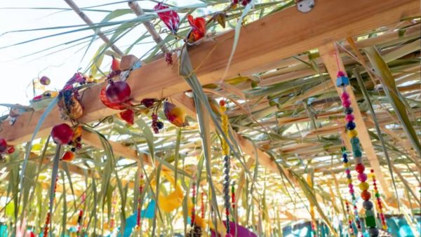 Natural materials like palm fronds, tree branches or reeds typically create the top of the sukkah.
