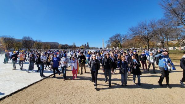 An image from the Nov. 14 Israel rally in Washington, D.C. 
