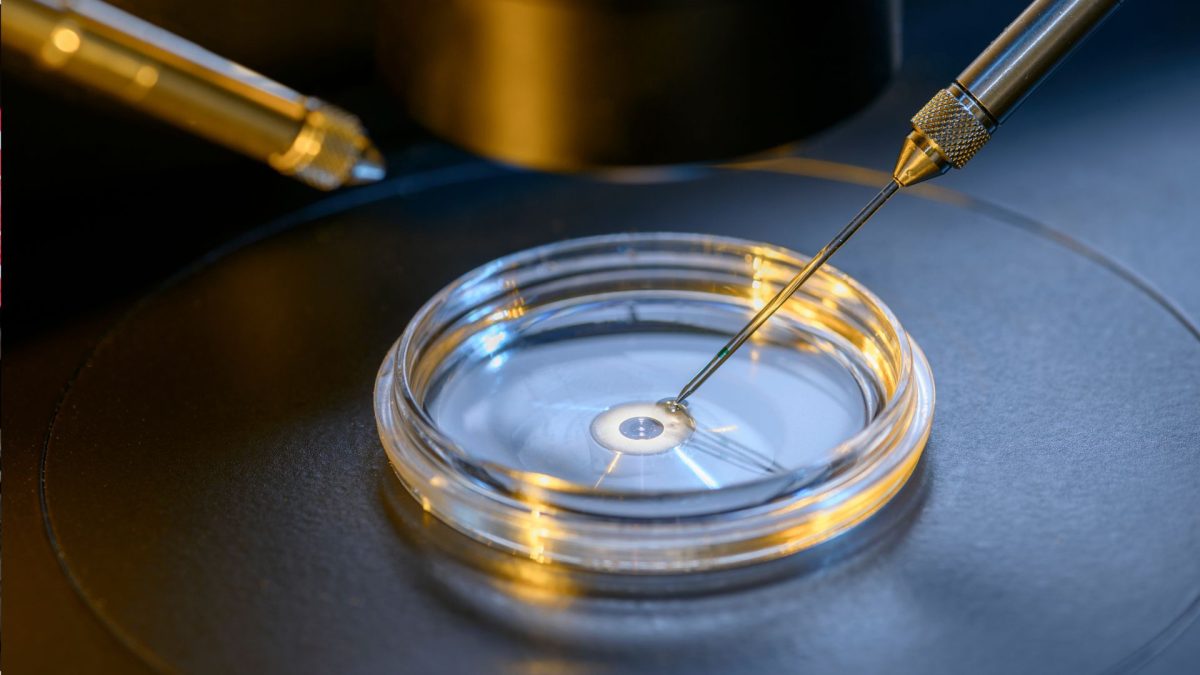 Embryos ‘held hostage’: An Alabama court decision panics Jews relying on IVF