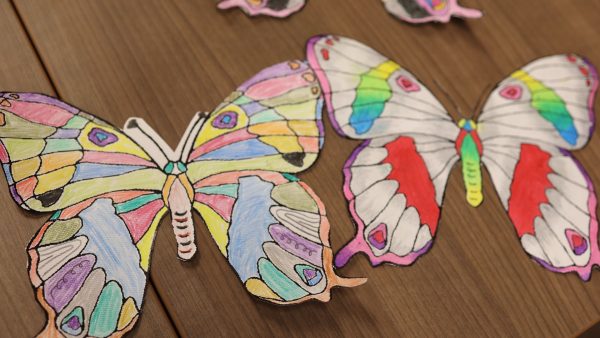Mission Possible: St. Louisans needed to create 600 butterflies honoring six million Holocaust victims
