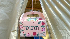 Rabbi Yael Buechler is displaying her Amazon “tuchus” boxes in her Sukkah, October 2024. (Courtesy Buechler)

