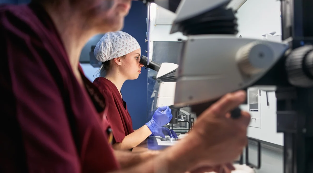 Parents who are carriers of genetic diseases can test embryos for genetic mutations using preimplantation genetic testing during the in-vitro fertilization process. (Abraham Gonzalez Fernandez / Getty Images)