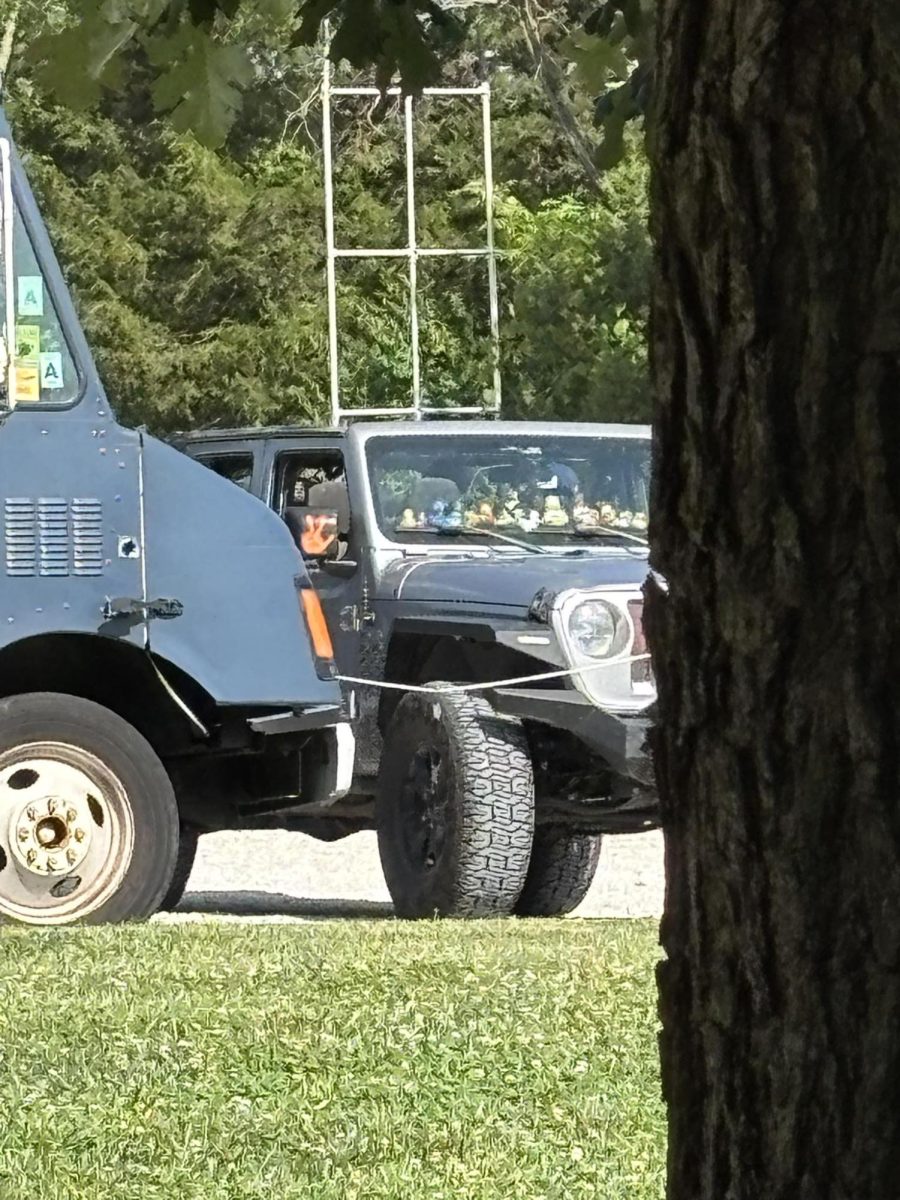 Do you drive a Jeep? Do you have rubber ducks on your dash? I don't, but I'm obsessed with why.
