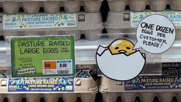 A sign for customers shopping for eggs at Trader Joe’s hangs by the cartons in Merrick, New York, U.S., February 16, 2025. 
