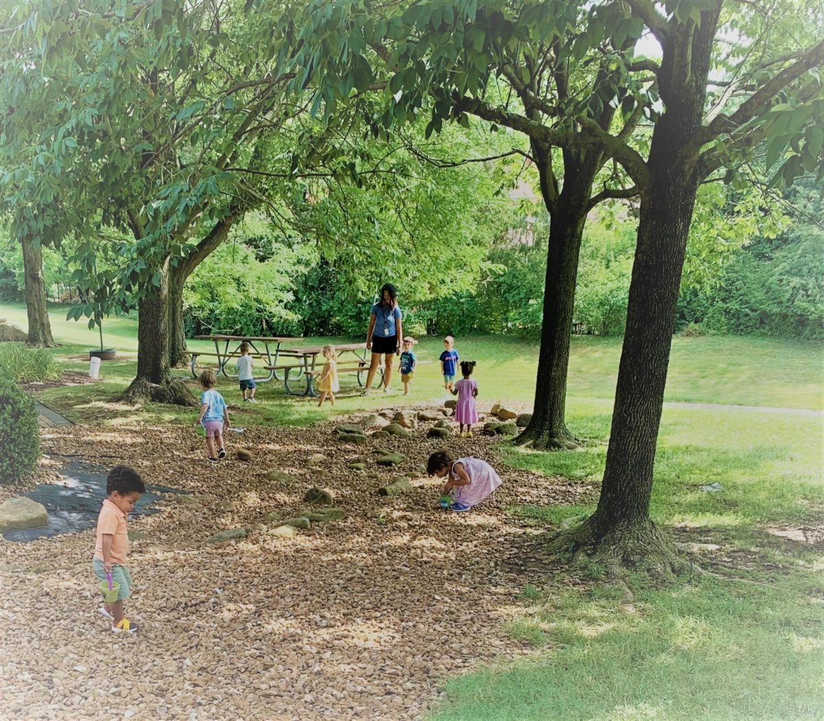 Collecting Rocks