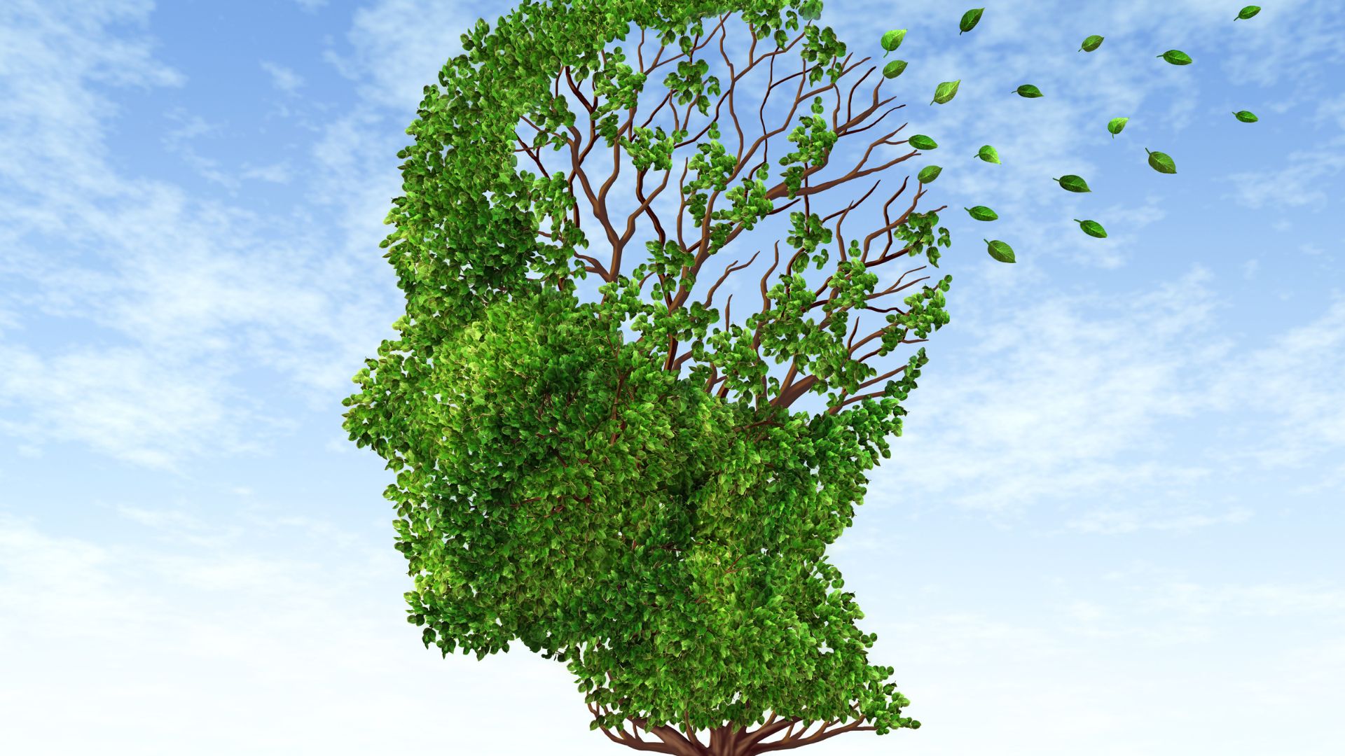 Lifestyle choices can help keep memory exercised, functioning