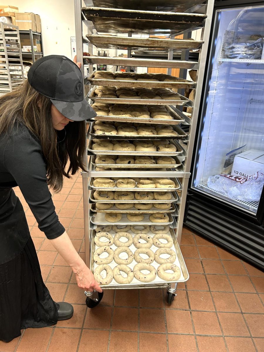 giti-fredman-and-bagels-ready-to-bake_54513988677_o