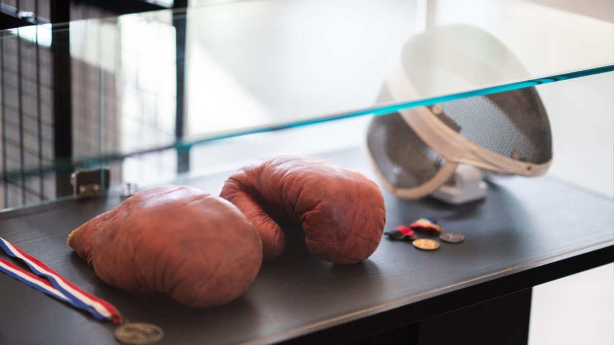They boxed, they ran, they survived: New STL exhibit honors Jewish athletes Hitler never wanted you to know