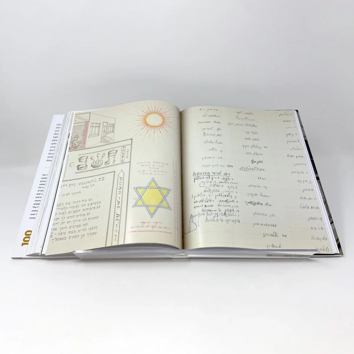 Book_100Objects_6